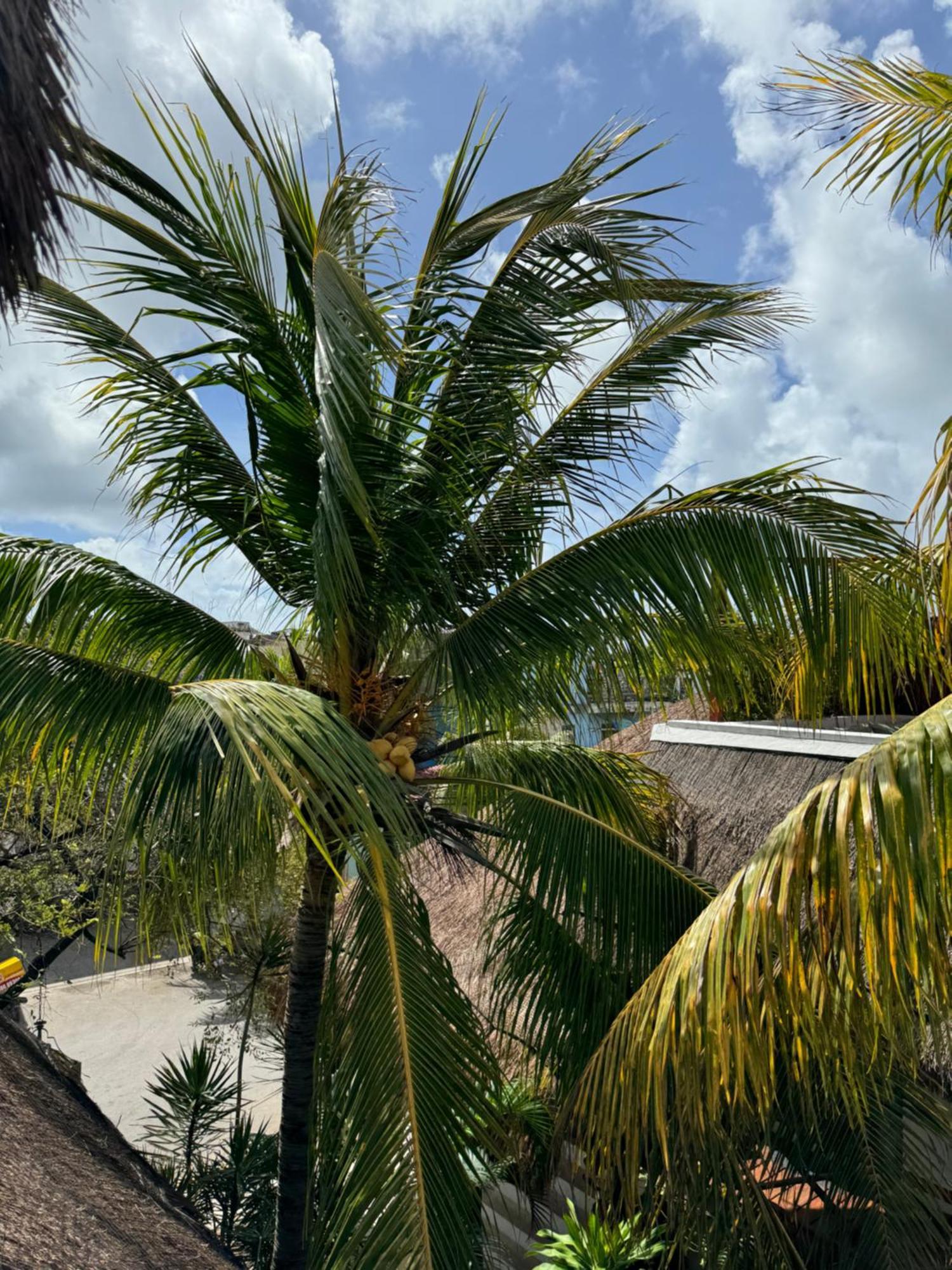 Kin Ha Tulum Hotel Exterior photo