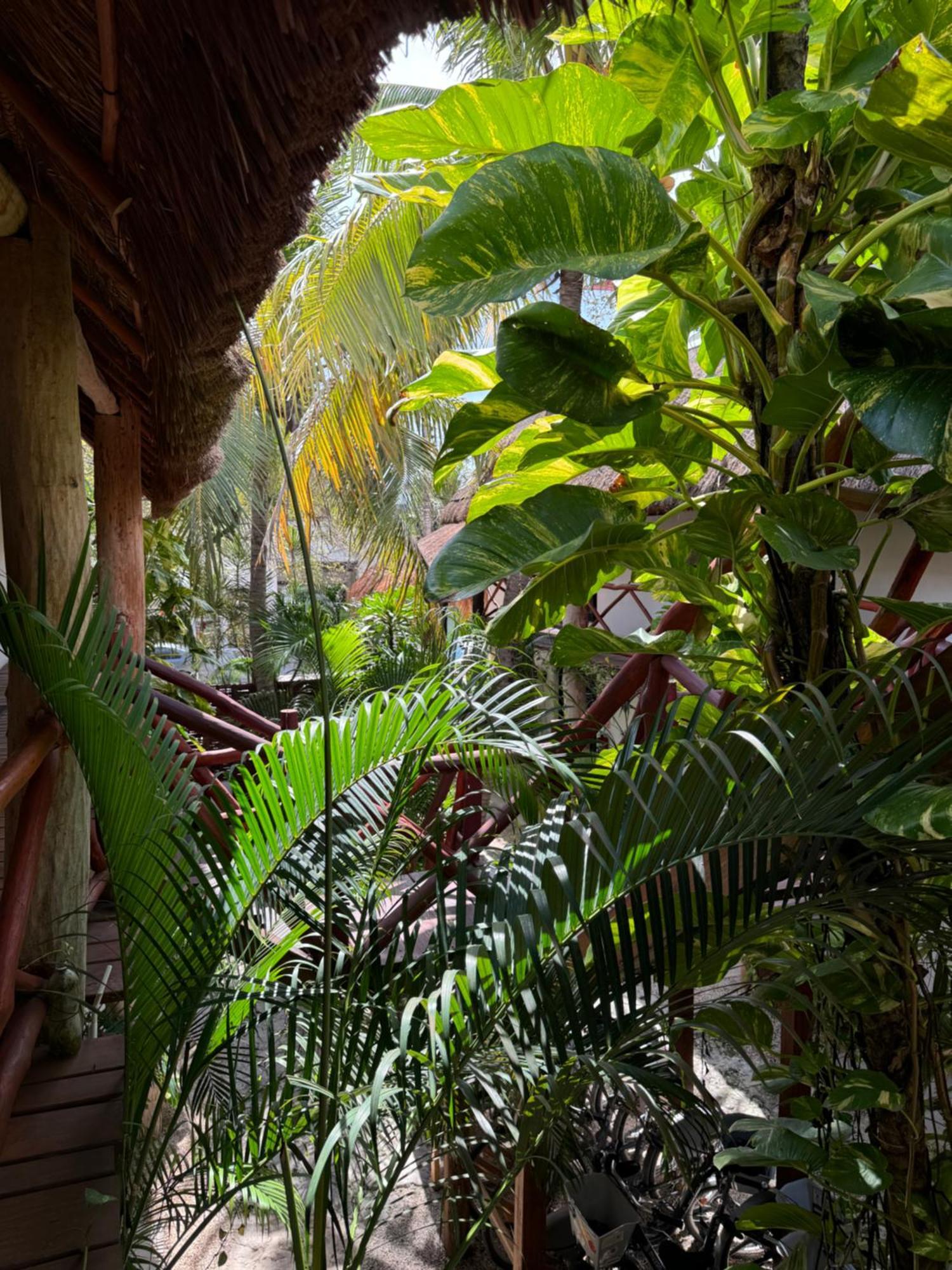 Kin Ha Tulum Hotel Exterior photo