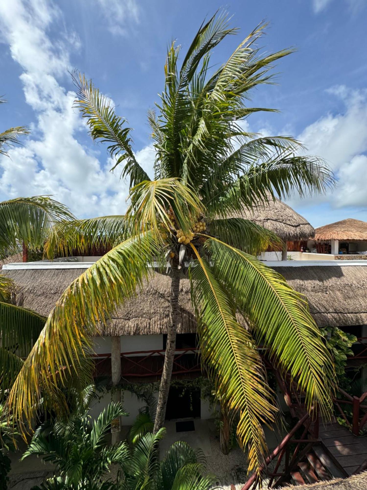 Kin Ha Tulum Hotel Exterior photo